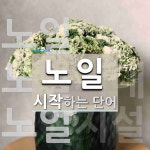 노일로 시작하는 단어는? 8개