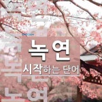 녹연으로 시작하는 단어는? 4개