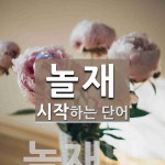 놀재로 시작하는 단어는? 1개