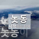 놋동으로 시작하는 단어는? 2개