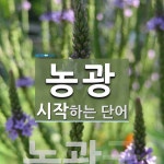 농광 시작 단어