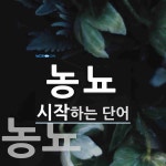 농뇨로 시작하는 단어는? 3개