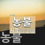 농불 시작 단어