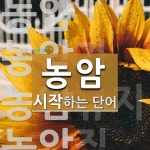 농암 시작 단어