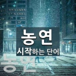 농연으로 시작하는 단어는? 2개