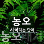농오 시작 단어