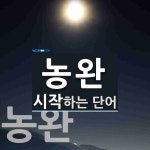 농완 시작 단어