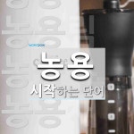 농용으로 시작하는 단어는? 19개