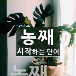 농째로 시작하는 단어는? 1개