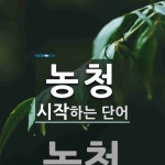 농청으로 시작하는 단어는? 1개