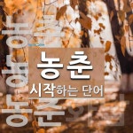 농춘 시작 단어