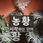 농황으로 시작하는 단어는? 2개