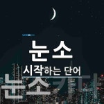 눈소 시작 단어