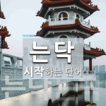 는닥으로 시작하는 단어는? 2개