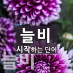 늘비로 시작하는 단어는? 2개