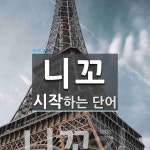 니꼬 시작 단어