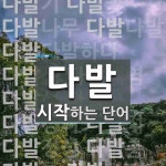 다발로 시작하는 단어는? 116개