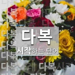 다복으로 시작하는 단어는? 17개