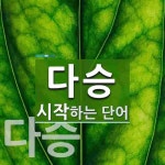 다승으로 시작하는 단어는? 2개