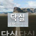 "닥실" 시작 단어