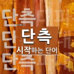 단측으로 시작하는 단어는? 18개