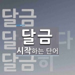달금으로 시작하는 단어는? 3개