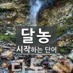 "달농" 시작 단어