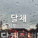 달채로 시작하는 단어는? 1개