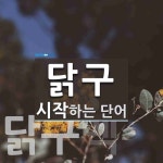 닭구로 시작하는 단어는? 2개