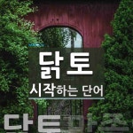 닭토 시작 단어