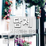 담제로 시작하는 단어는? 2개