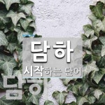 담하로 시작하는 단어는? 2개