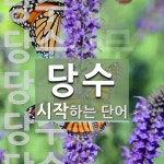 당수 시작 단어