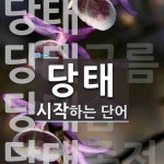 당태 시작 단어