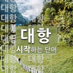 대항으로 시작하는 단어는? 54개