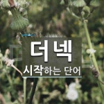 더넥 시작 단어