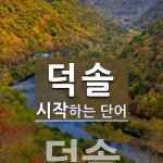 덕솔 시작 단어