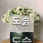 도슭으로 시작하는 단어는? 1개