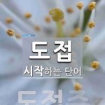 도접으로 시작하는 단어는? 1개