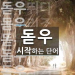 돋우로 시작하는 단어는? 9개