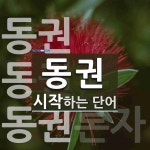 동권 시작 단어