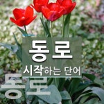 "동로" 시작 단어