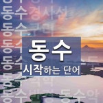 동수로 시작하는 단어는? 19개