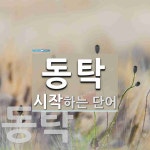 동탁으로 시작하는 단어는? 2개