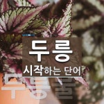 두릉으로 시작하는 단어는? 2개