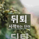 뒤퇴로 시작하는 단어는? 1개
