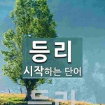 등리로 시작하는 단어는? 1개