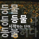 등물 시작 단어