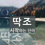 딱조 시작 단어
