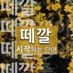 떼깔로 시작하는 단어는? 4개